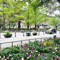 A park with tranquility and peace