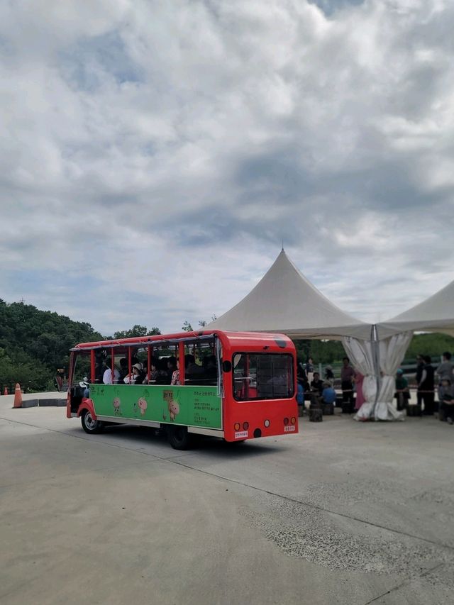 연천에서 꼭 가봐야할 여행지💚