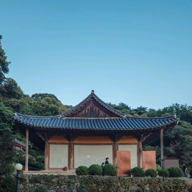 가을하늘에 더 돋보이는