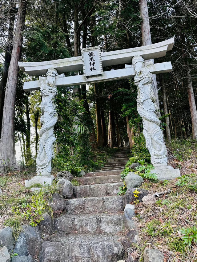 【穴場】鳥居に巻き付く二体の龍が超レアで大迫力❗️辰年を締めくくるご利益を授かれそうなパワスポ神社✨