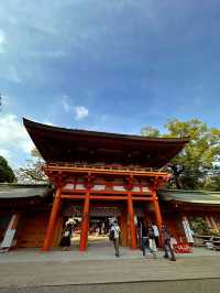 【大宮】最強パワースポットの宝庫📍大宮 氷川神社⛩️縁結びや商売繁盛にもオススメ💓可愛いスポットも🈶