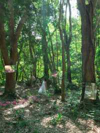 【福岡】神話の世界がここで味わえる