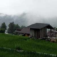 นาขั้นบันได ป่าบงเปียง - เชียงใหม่