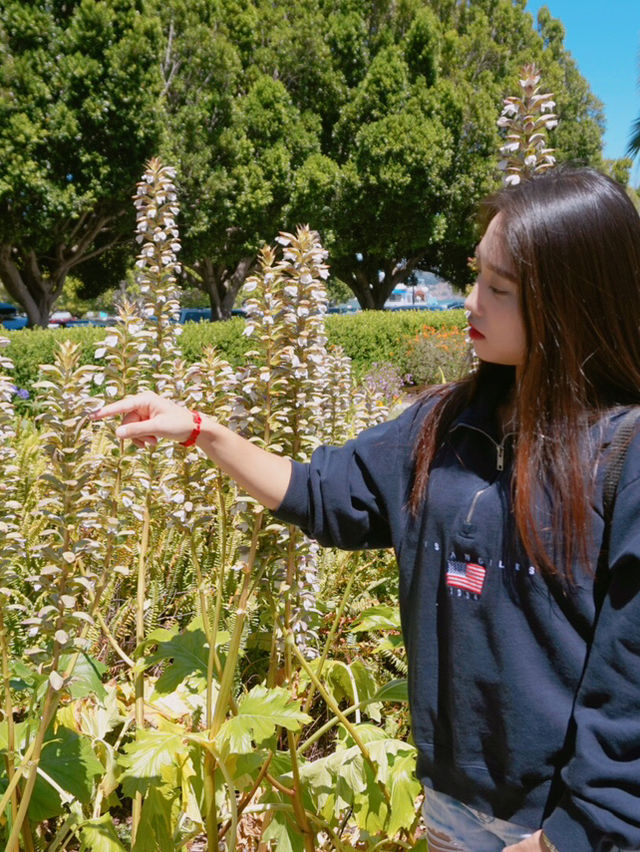 작은 마을 소살리토🩵
