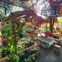 ตลาดฉำฉา : กาดชุมชนโหล่งฮิมคาว สันกำแพง เชียงใหม่
