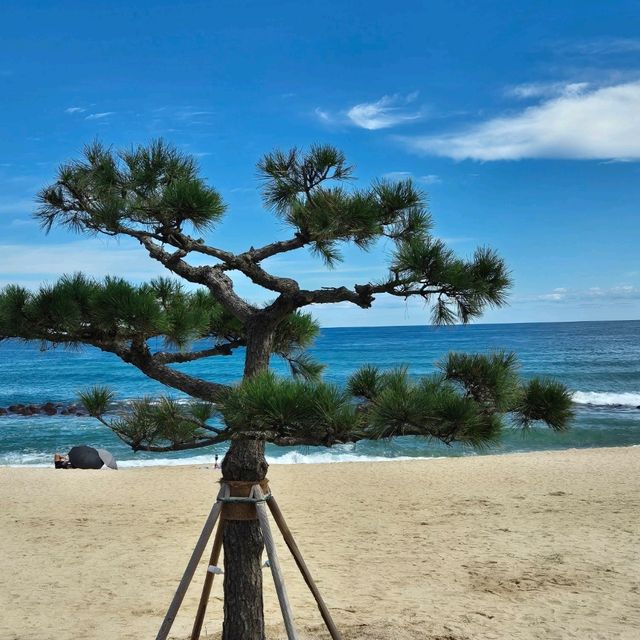 강릉 강문해변