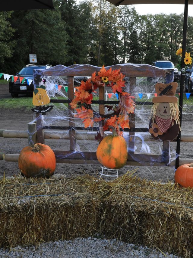 【バンクーバー🇨🇦】カナダで日本とは一味違うハロウィンを🎃