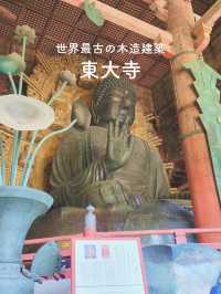 【世界最古の木造建築🏗️東大寺✨】