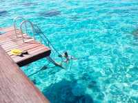 【タヒチ】地上の楽園！夢の水上コテージ🏖️