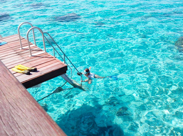 【タヒチ】地上の楽園！夢の水上コテージ🏖️