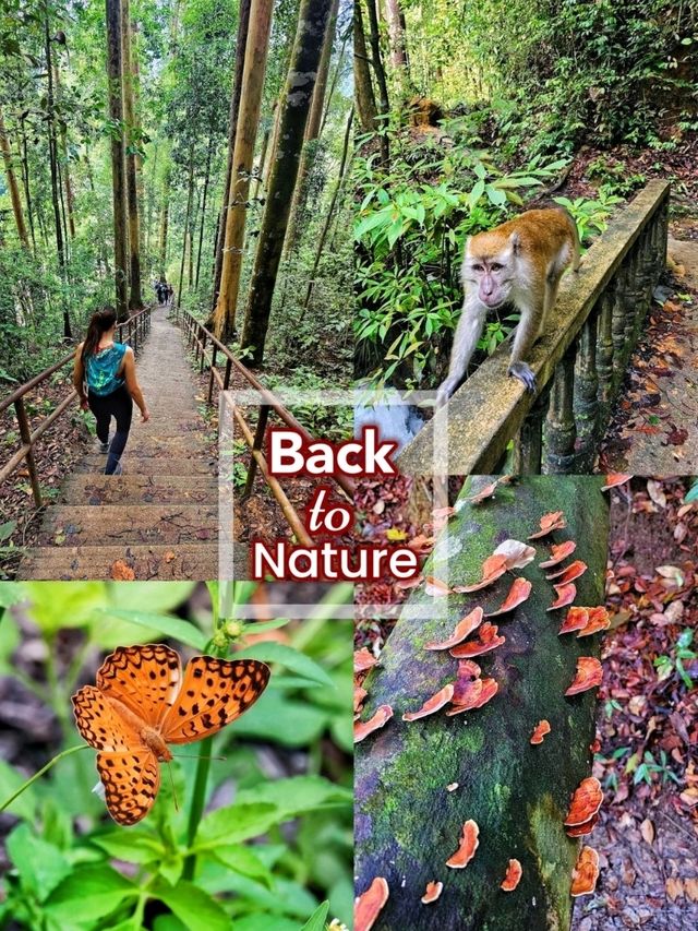 Back to nature, my favourite outdoor activity on weekend!