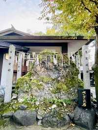【京都府】猪だらけの境内