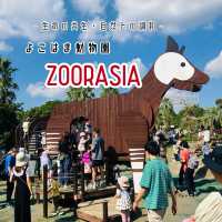 【横浜】よこはま動物園ZOORASIA - たくさんの動物が見られる国内最大級の動物園 -