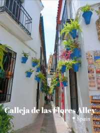 【スペイン】まるで童話の世界🫣🏰美しすぎる花の小道💐🌿💖【コルドバ】
