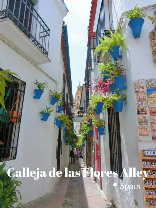 【スペイン】まるで童話の世界🫣🏰美しすぎる花の小道💐🌿💖【コルドバ】