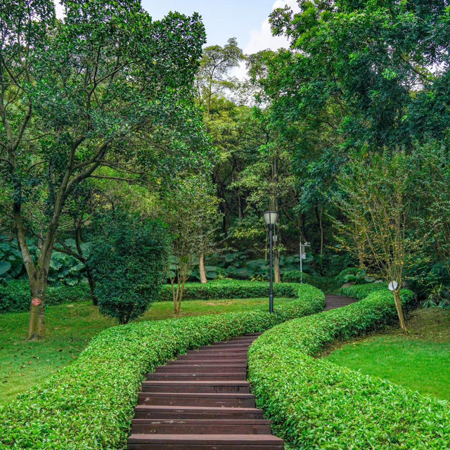 桂河碧道：綠油油的自然🌿🌊
