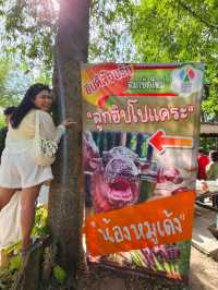 สวนสัตว์เปิดเขาเขียว
