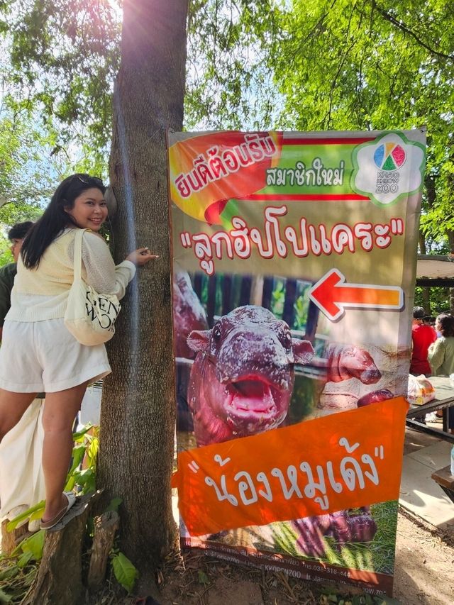 สวนสัตว์เปิดเขาเขียว