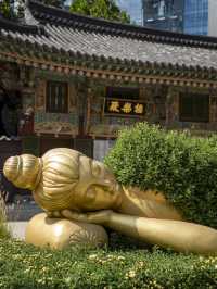 Extremely Instagramable Buddhist Temple in Downtown of Seoul 
