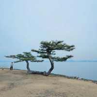 🐲希望湖🌳優美大湖🌅🏞️