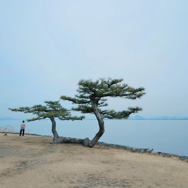🐲希望湖🌳優美大湖🌅🏞️