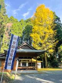 【熊本】⛩️ 日本三大下り宮のひとつ、阿蘇随一のパワースポット ⛩️ 