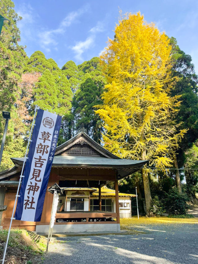 【熊本】⛩️ 日本三大下り宮のひとつ、阿蘇随一のパワースポット ⛩️ 