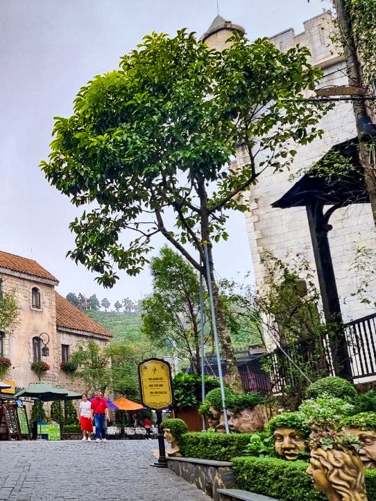 รีวิว Ba Na Hills – แหล่งท่องเที่ยวสุดว้าว! 🌄✨