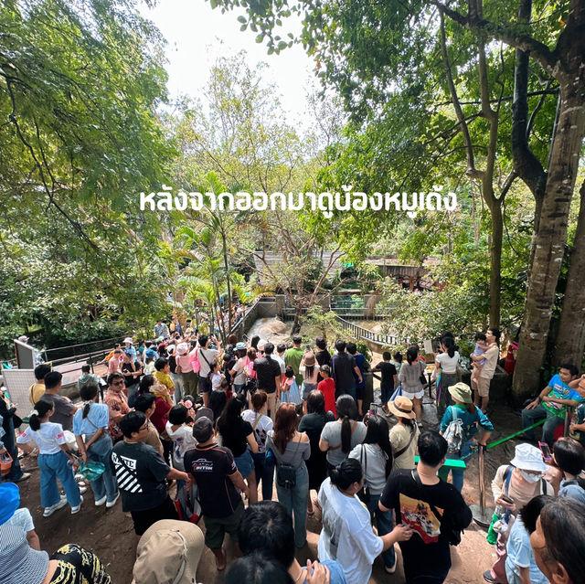 #สวนสัตว์เปิดเขาเขียว #พาลูกเที่ยว #เที่ยวสวนสัตว์