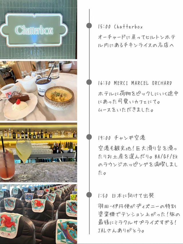【そのまま使える】シンガポール2泊4日旅程まとめ&旅費大公開