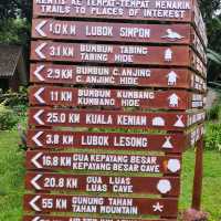Three Reasons Why Must Visit Taman Negara and Stay at Mutiara Resort