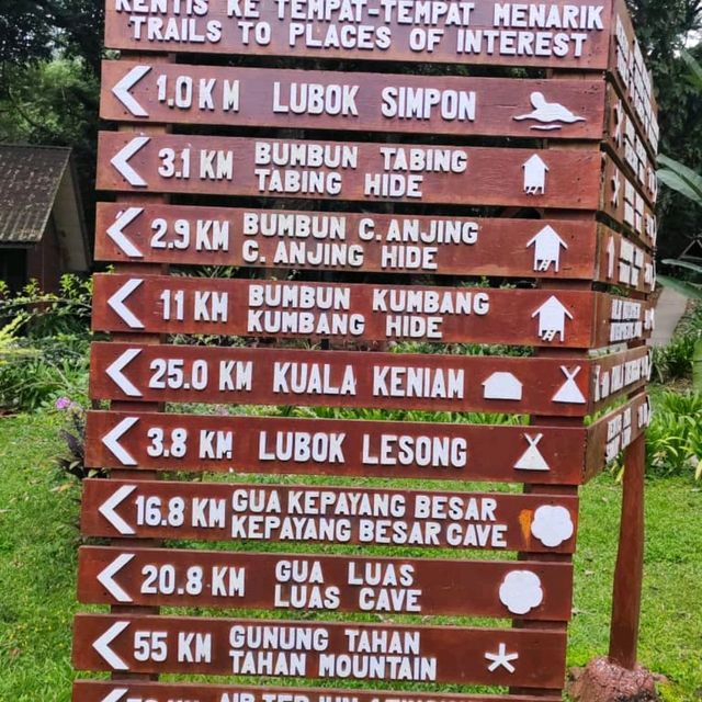 Three Reasons Why Must Visit Taman Negara and Stay at Mutiara Resort