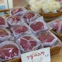 영월역 감성카페 에이플🍎사과빵 정말 맛있는 비건베이커리