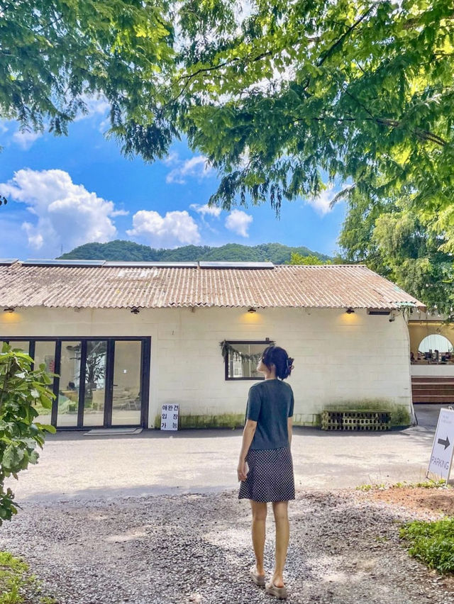 동화 속 같은 서울근교 야외카페💚 | 트립닷컴 남양주 동화 속 같은 서울근교 야외카페💚 | 트립닷컴 남양주 