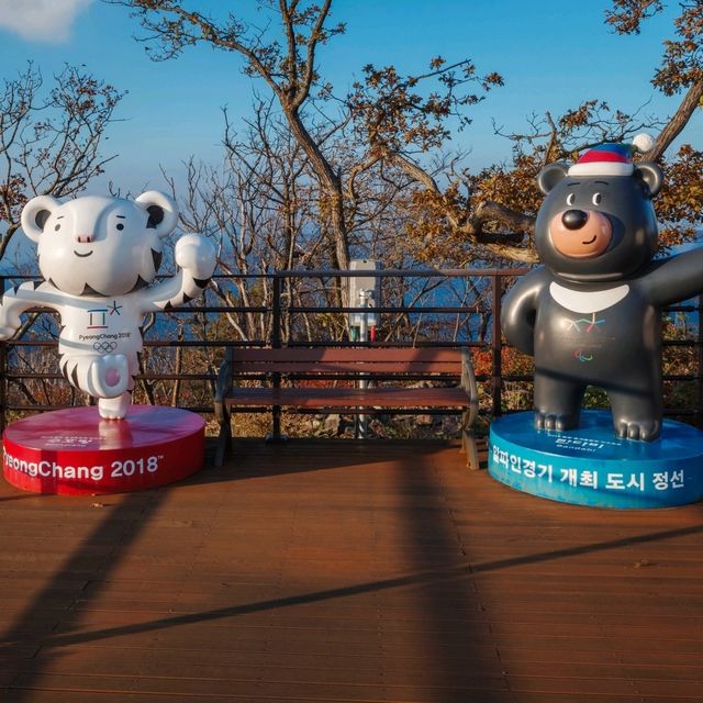 정선의 가을을 가장 먼저 느낄 수 있는