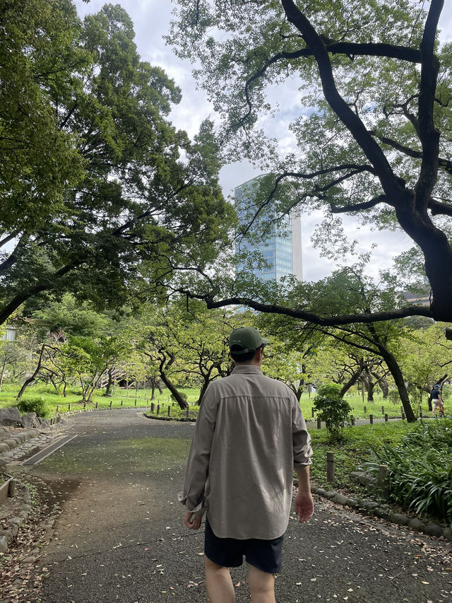 도쿄타워를 가장 가까운 곳에서 보는 공원 시바파크🗼