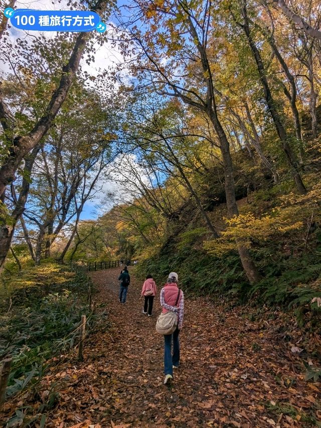 鳴子峽芬多精秘境，大深沢溪流森林步道