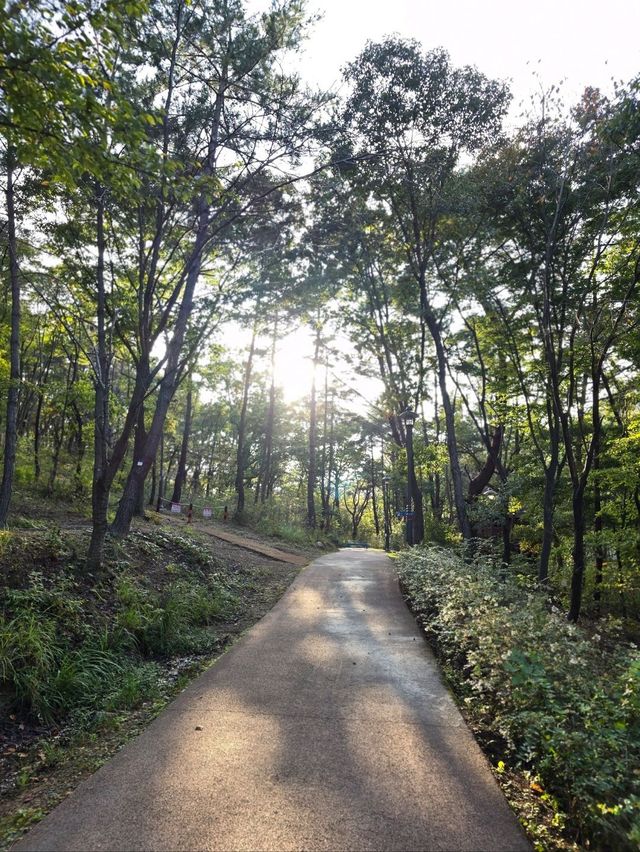 가을즐기기 좋은 아기자기한 예쁜 동화마을🤎