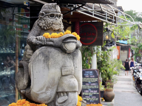 バリ島】世界一高級なコーヒーが飲める農園に行ってきた | Trip.com バリ島