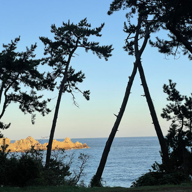 울산에서 제일 멋진 곳!