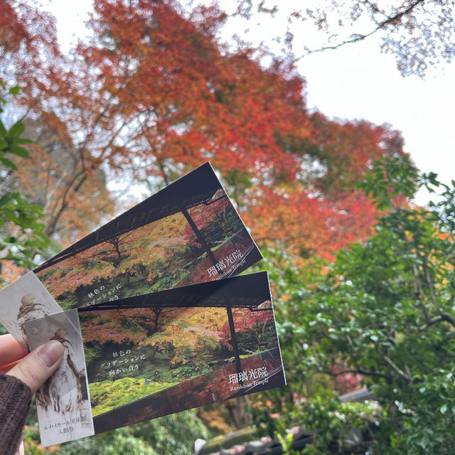 【日本・京都🇯🇵】京都の秋！美しい紅葉を見るならここ！