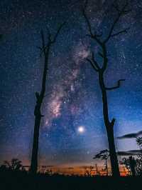 Phu Kradueng ภูกระดึง