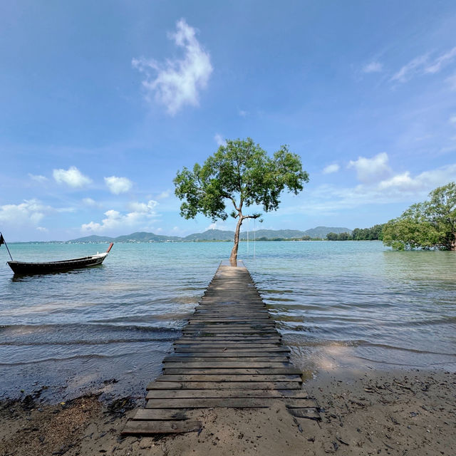 The Mangrove by Blu Monkey 🐵