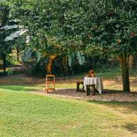 Favor Field Cafe สวนผึ้ง ราชบุรี