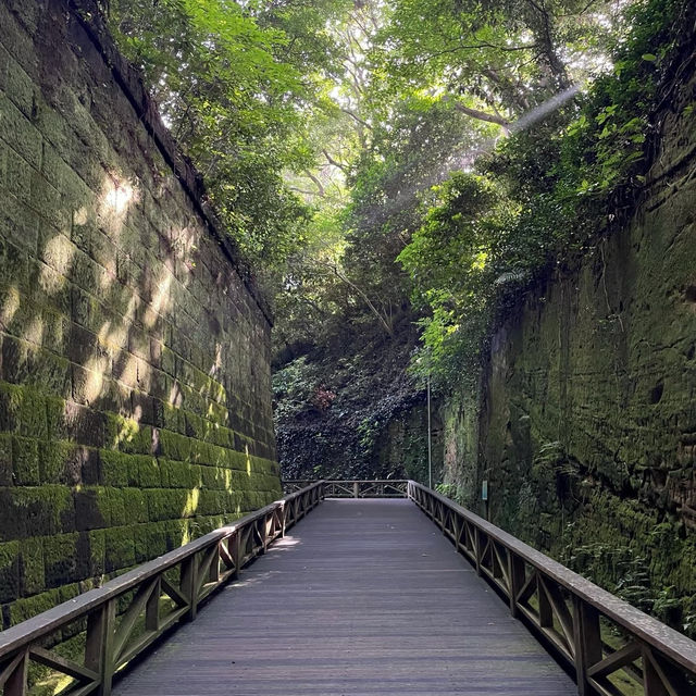 能古島：美麗寧靜🏝️🌊