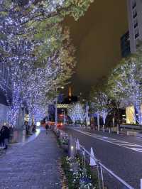 🇯🇵東京最有高級感的展望台+欣賞東京鐵塔最佳展望台