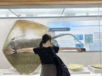 釜山　家族連れにもオススメ　無料海洋博物館