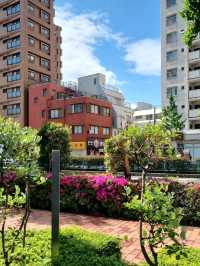 REST AND RECHARGE AT HOTEL JAL CITY HANEDA AIRPORT