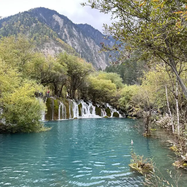 Jiuzhaigou (จิ่วไจ้โกว, 九寨沟) 