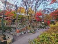 The magnificient autumn foliage at Gilsangsa